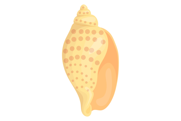 Download Rock Shell. Yellow Tropical Cockleshell - Tropical Collection