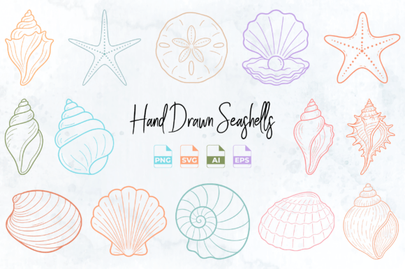 Download Hand Drawn Seashell Clipart PNG SVG - Hand drawn Collection