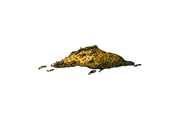 Download Organic Thyme Leaf Sketch Hand Drawn Vec - Hand drawn Collection
